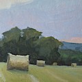 Evening Bales