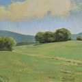 Summer Vista
