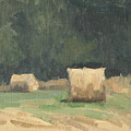 Haybale Portrait